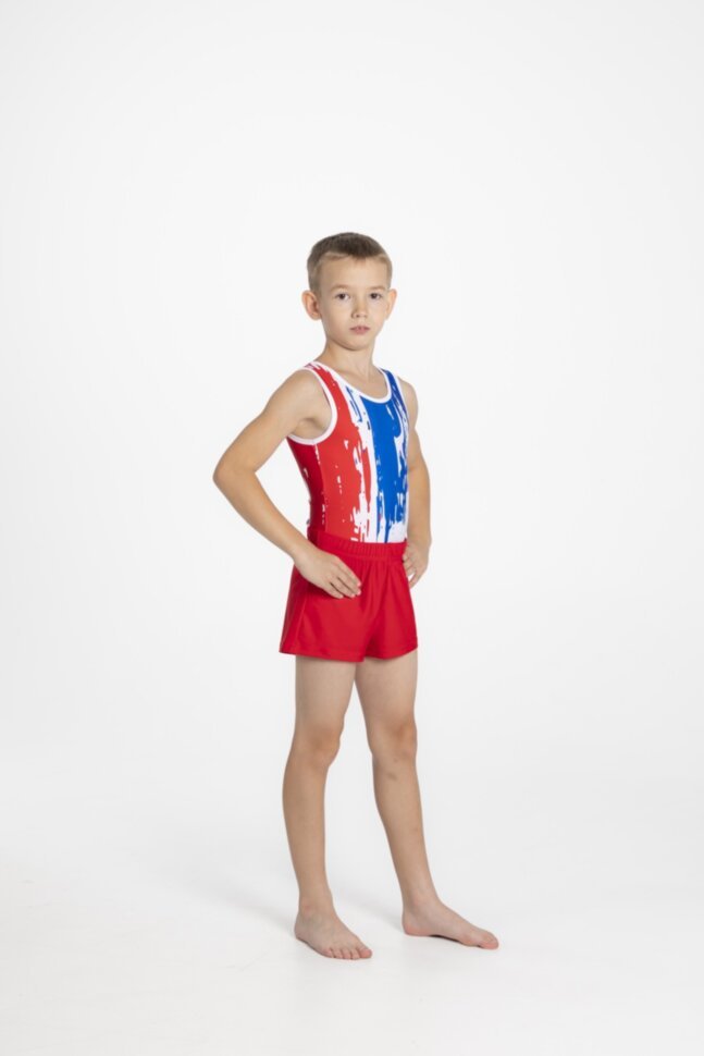 Men's gymnastics leotard "Art"