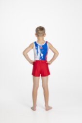 Men's gymnastics leotard "Art"