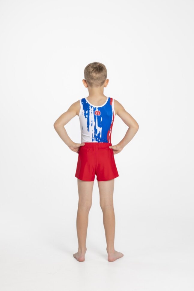 Men's gymnastics leotard "Art"