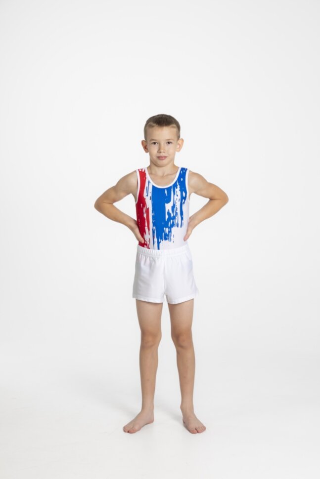 Men's gymnastics leotard "Art"