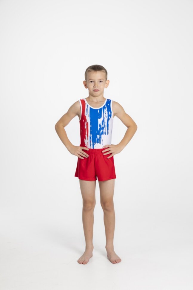 Men's gymnastics leotard "Art"