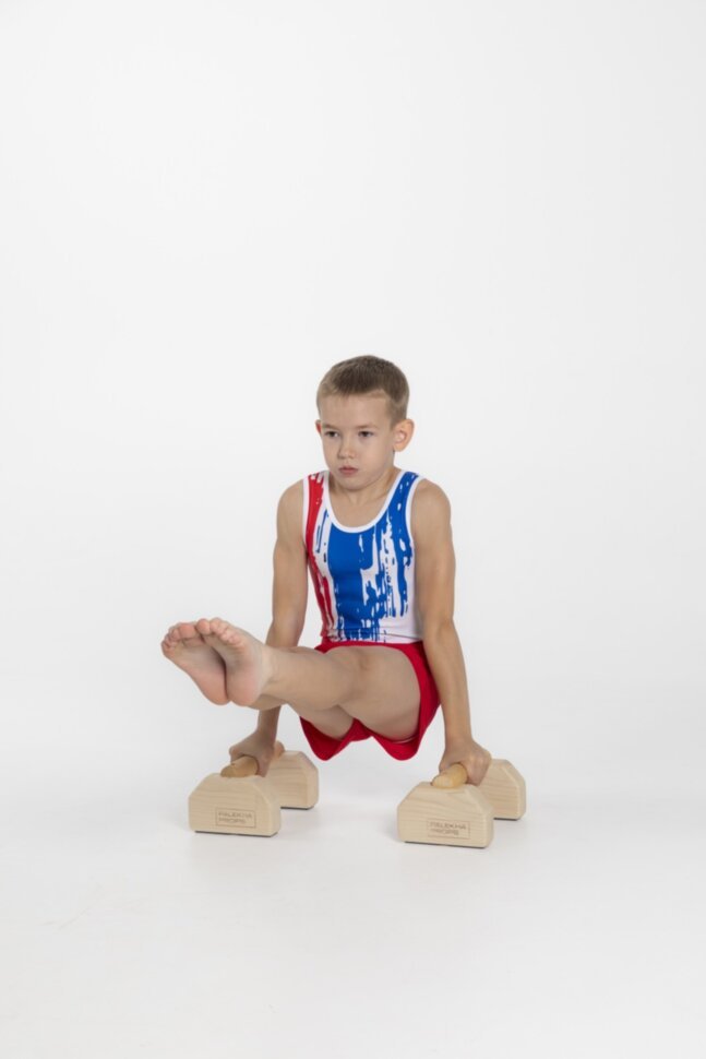 Men's gymnastics leotard "Art"